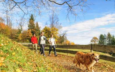 Spaziergang durch die Natur der Oststeiermark (c) Fotolia